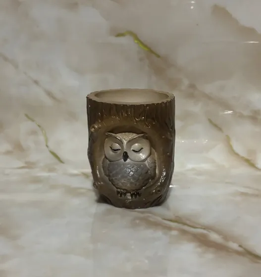 Гіпсове кашпо з совою